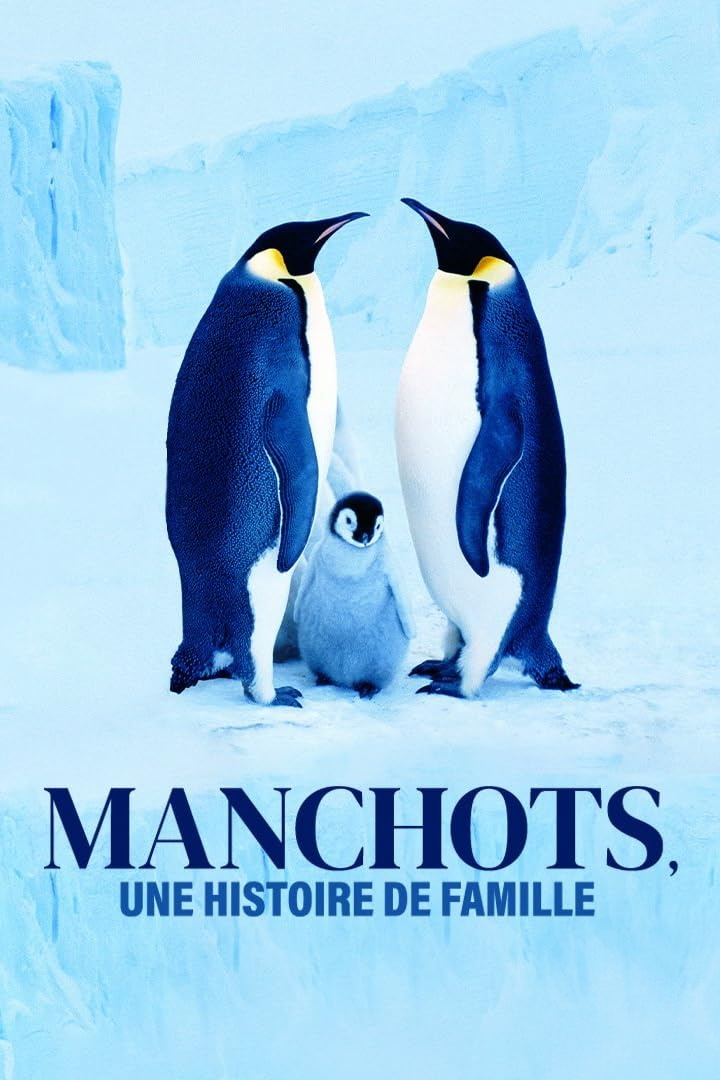 BBC纪录片《企鹅家族 Penguins: Meet the Family 2020》英语中英双字 无水印纯净版 1080P/MKV/3.74G 企鹅与种族插图
