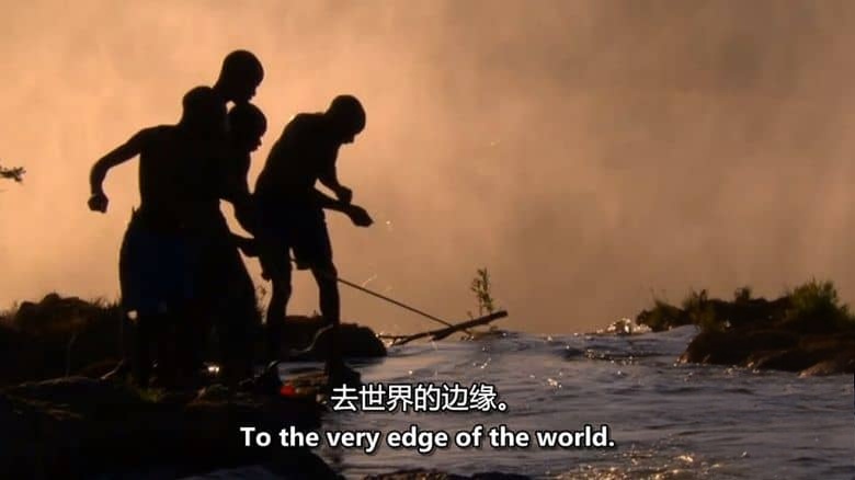 BBC纪录片《自然世界 Natural World》第1-7季全42集 英语中英双字 无水印纯净版 1080P/MKV/121G 探索自然之窗插图3