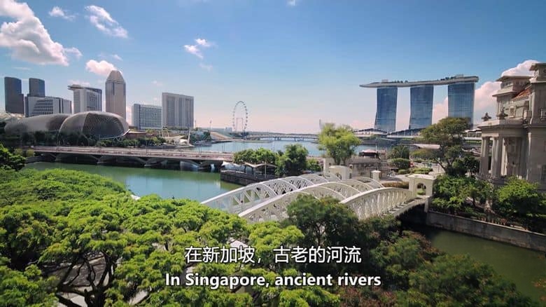 美国纪录片《河流世界 River World 2020》英语中英双字 无水印纯净版 1080P/MKV/3.61G 河流生态插图1