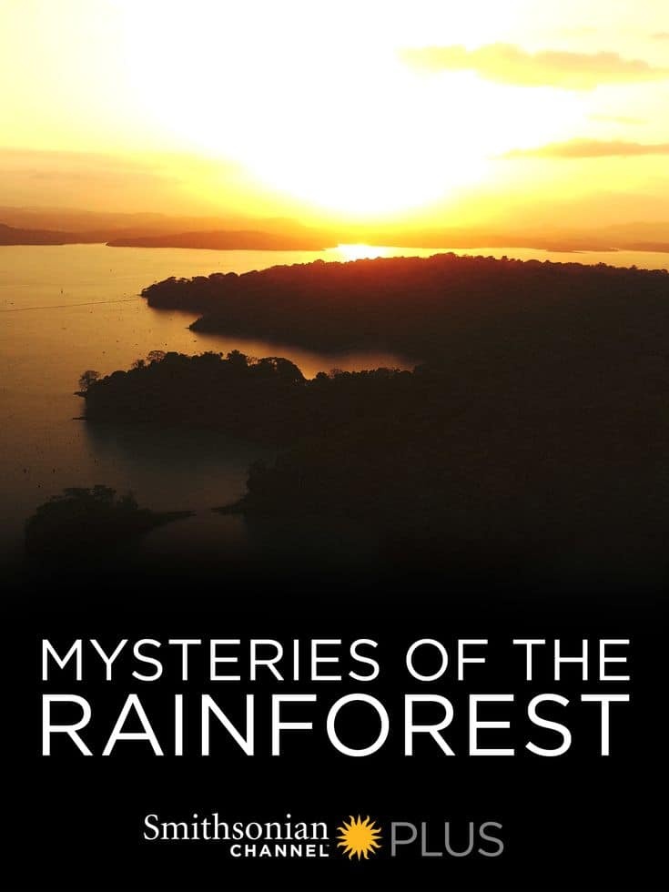 史密森尼频道《热带雨林的奥秘 Mysteries of the Rainforest 2016》英语中英双字 无水印纯净版 1080P/MKV/3.75G 热带雨林插图 史密森尼频道《热带雨林的奥秘 Mysteries of the Rainforest 2016》英语中英双字 无水印纯净版 1080P/MKV/3.75G 热带雨林插图