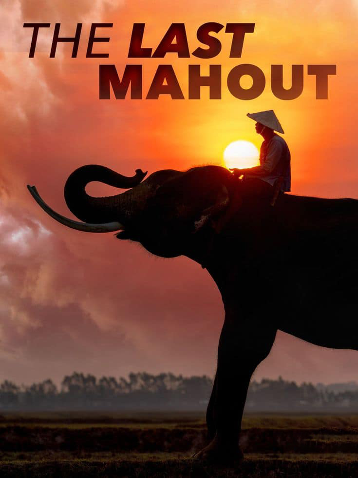 澳大利亚纪录片《最后的象夫 The Last Mahout 2008》英语中英双字 无水印纯净版 1080P/MKV/4.66G 亚洲象插图 澳大利亚纪录片《最后的象夫 The Last Mahout 2008》英语中英双字 无水印纯净版 1080P/MKV/4.66G 亚洲象插图