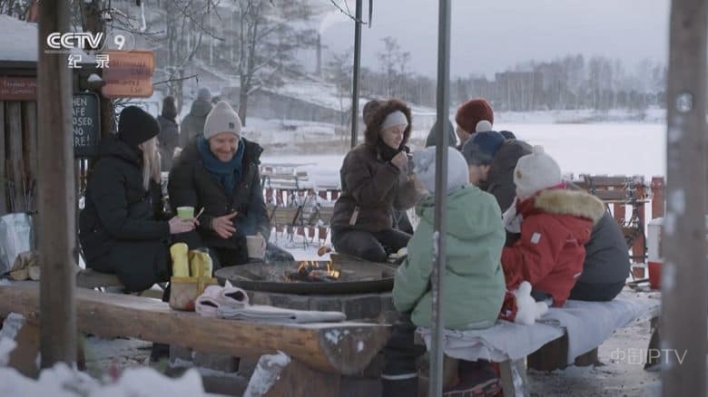 Arte纪录片《极夜半岛 Scandinavia – Between Light and Darkness 2024》全2集 国语中字 央视译制版 1080P/TS/7G 斯堪的纳维亚半岛的冬季插图2