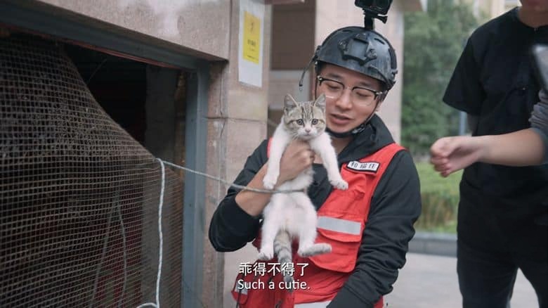 国产纪录片《养猫的人 Life with Cats 2024》全6集 国语中英双字 4K超清/2160P/MP4/7.73G 人与猫故事插图2 国产纪录片《养猫的人 Life with Cats 2024》全6集 国语中英双字 4K超清/2160P/MP4/7.73G 人与猫故事插图2