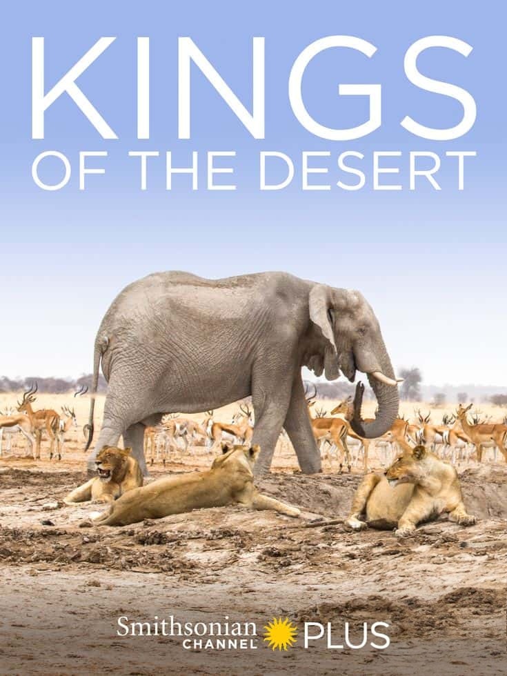史密森尼频道《沙漠之王 Kings of the Desert 2020》英语中英双字 无水印纯净版 1080P/MKV/2.4G 非洲沙漠狮插图 史密森尼频道《沙漠之王 Kings of the Desert 2020》英语中英双字 无水印纯净版 1080P/MKV/2.4G 非洲沙漠狮插图