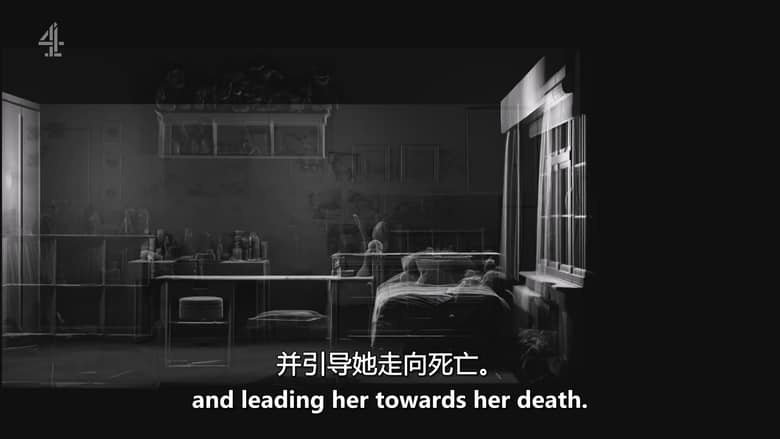 CH4纪录片《莫莉与机器：科技时代的挑战者 Molly vs the Machines 2026》英语中英双字 无水印纯净版 1080P/MKV/1G 科技伦理插图4