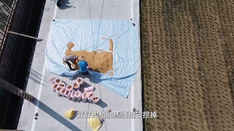 台湾纪录片《憨地主 2022》国语中英双字 无水印纯净版 1080P/MKV/919M 对土地的热爱插图2 台湾纪录片《憨地主 2022》国语中英双字 无水印纯净版 1080P/MKV/919M 对土地的热爱插图2