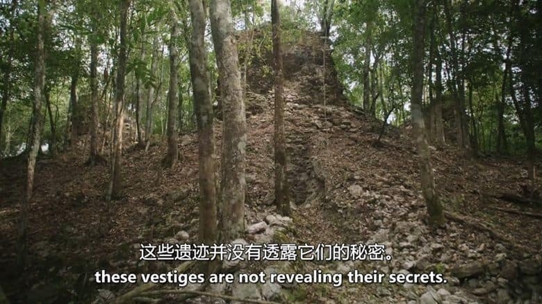 危地马拉纪录片《纳阿赫通：玛雅失落之城 Naachtun, The Forgotten Mayan City 2016》西语中英双字 无水印纯净版 1080P/MKV/1.27G 玛雅古城插图4