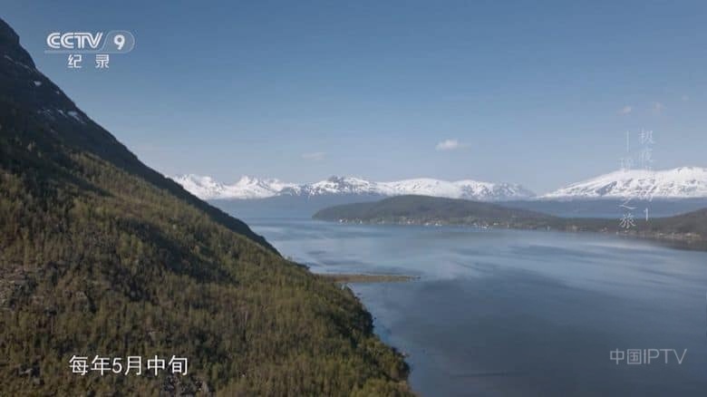 Arte纪录片《极夜半岛 Scandinavia – Between Light and Darkness 2024》全2集 国语中字 央视译制版 1080P/TS/7G 斯堪的纳维亚半岛的冬季插图4