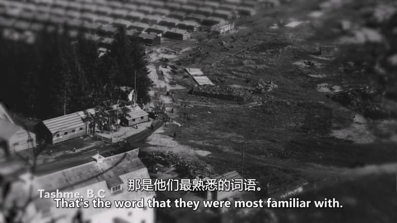 加拿大纪录片《一位艺术家的追寻:加拿大日裔拘禁历史的遗产 An Artist’s Journey: Legacy of Canadian Japanese Internment 2026》英语中英双字 无水印纯净版 1080P/MKV/1.86G 被拘禁的历史插图4 加拿大纪录片《一位艺术家的追寻:加拿大日裔拘禁历史的遗产 An Artist’s Journey: Legacy of Canadian Japanese Internment 2026》英语中英双字 无水印纯净版 1080P/MKV/1.86G 被拘禁的历史插图4