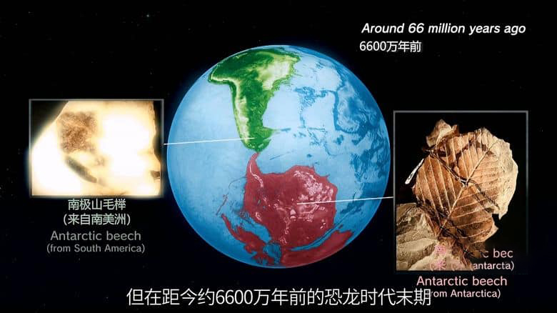 NHK纪录片《恐龙超世界2 Amazing Dinoworld 2 2023》全6集 英语中字 无水印纯净版 1080P/MP4/4.83G 恐龙纪录片插图6 NHK纪录片《恐龙超世界2 Amazing Dinoworld 2 2023》全6集 英语中字 无水印纯净版 1080P/MP4/4.83G 恐龙纪录片插图6