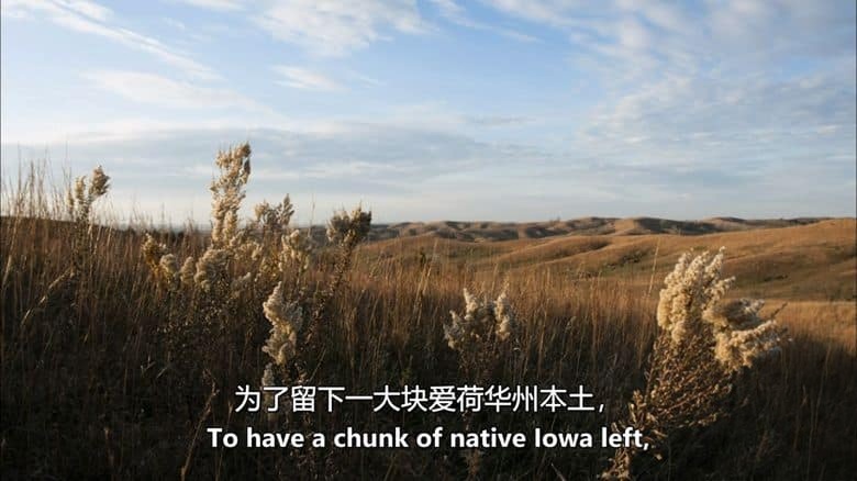 PBS纪录片《大平原 Great Plains 2013》全2集 英语中英双字 无水印纯净版 1080P/MKV/8.31G 北美大平原插图7