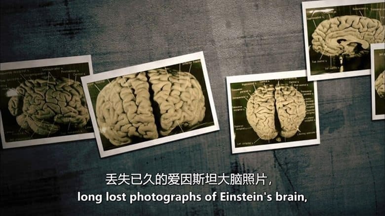 PBS纪录片《我们能变得有多聪明?How Smart Can We Get 2012》英语中英双字 无水印纯净版 1080P/MKV/3.4G 人体探索插图2 PBS纪录片《我们能变得有多聪明?How Smart Can We Get 2012》英语中英双字 无水印纯净版 1080P/MKV/3.4G 人体探索插图2