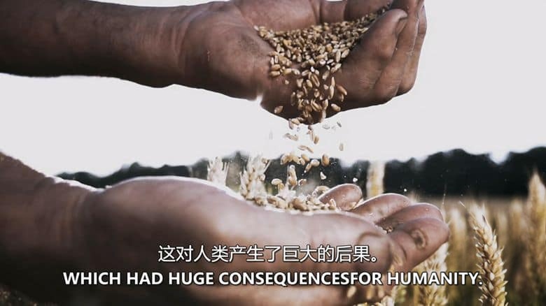 PBS纪录片《从太空看人类 Humanity From Space 2015》英语中英双字 无水印纯净版 1080P/MKV/7.59G 从太空看人类插图3 PBS纪录片《从太空看人类 Humanity From Space 2015》英语中英双字 无水印纯净版 1080P/MKV/7.59G 从太空看人类插图3