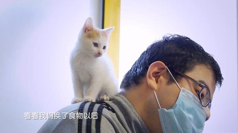 国产纪录片《小主安康－宠物医院 Animal.Hospital 2021》第2-3季全16集 国语中字 1080P/MP4/18.9G 宠物医院插图3