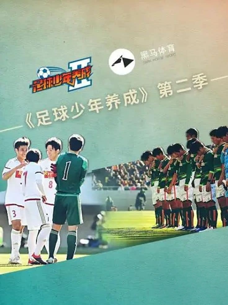 国产纪录片《足球少年养成 2019》第1-2季全7集 国语中字 1080P/MP4/8.68G 足球少年插图