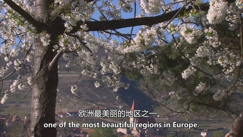 奥地利纪录片《追逐阳光的生灵 Sun Seeking Creatures, a Mediterranean World 2017》英语中英双字 无水印纯净版 1080P/MKV/4.09G 奥地利生态插图4