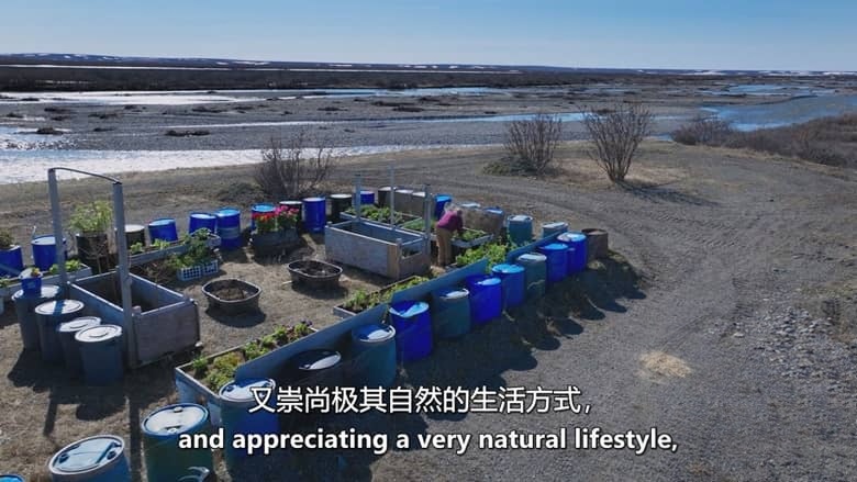 国家地理《零度以下的生活 Life Below Zero 2026》第23季全20集 英语中英双字 官方纯净版 1080P/MKV/45G 零下极限生活插图6 国家地理《零度以下的生活 Life Below Zero 2026》第23季全20集 英语中英双字 官方纯净版 1080P/MKV/45G 零下极限生活插图6