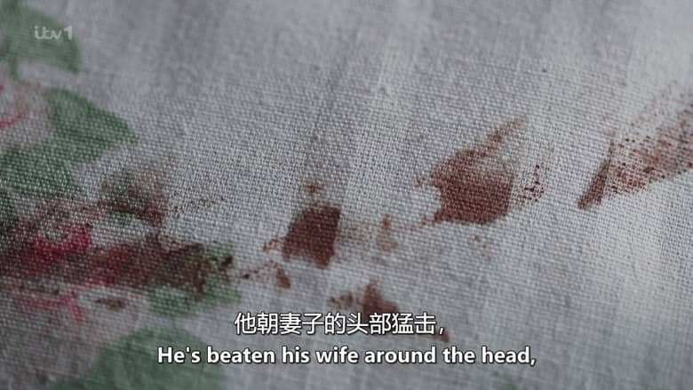 ITV纪录片《追猎“银色杀手” Hunting the Silver Killer 2026》英语中英双字 无水印纯净版 1080P/MKV/503M 凶案背后插图3