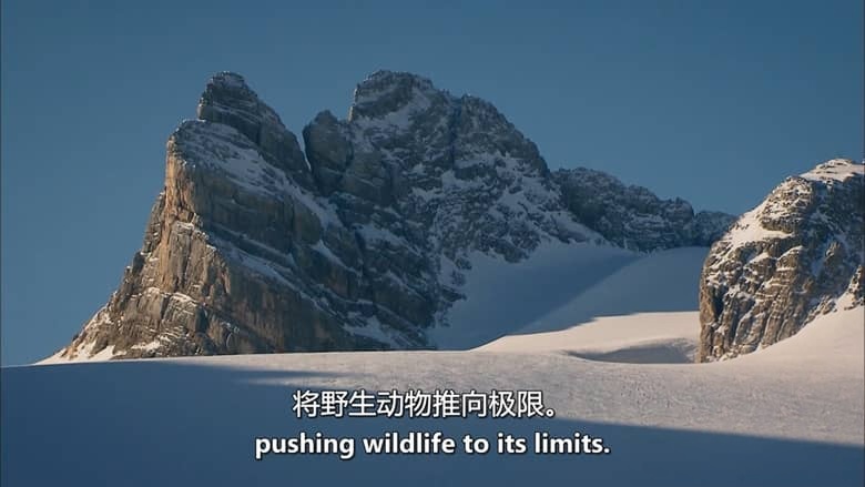 奥地利纪录片《魔力山脉：羚羊之地 Magic Mountains：Land of the Chamois 2012》英语中英双字 无水印纯净版 1080P/MKV/5.23G 奥地利生态插图1