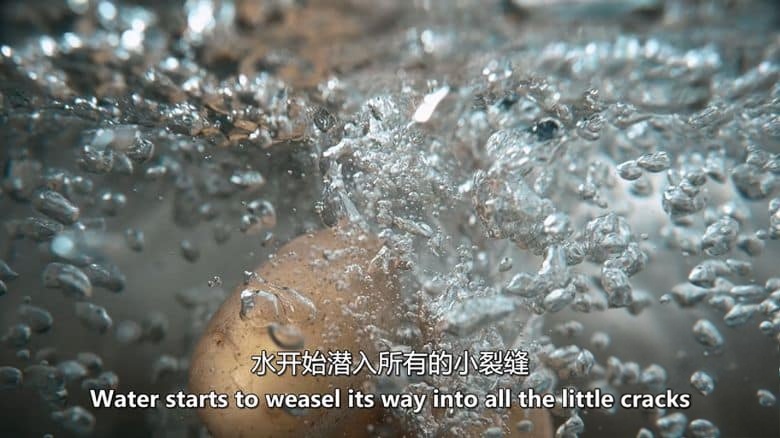 CBC纪录片《厨师秘诀:烹饪科学 Chef Secrets: The Science of Cooking 2022》英语中英双字 无水印纯净版 1080P/MKV/2.95G 烹饪科学插图4 CBC纪录片《厨师秘诀:烹饪科学 Chef Secrets: The Science of Cooking 2022》英语中英双字 无水印纯净版 1080P/MKV/2.95G 烹饪科学插图4