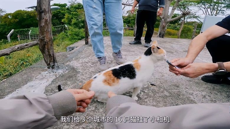 国产纪录片《青年理工工作者生活研究所 Network Neighbourhood 2022》第一季全14集 国语中字 4K超清/2160P/MP4/7.16G 当代青年⽣活插图3 国产纪录片《青年理工工作者生活研究所 Network Neighbourhood 2022》第一季全14集 国语中字 4K超清/2160P/MP4/7.16G 当代青年⽣活插图3
