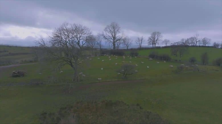 CH5纪录片《鲁本·欧文：谷地生活 Reuben Owen: Life in the Dales 2024》第二季共9集 英语中英双字 无水印纯净版 1080P/MKV/18.1G 英国农场生活插图5