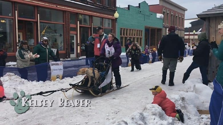 PBS纪录片《雪橇 Musher 2021》英语中英双字 无水印纯净版 1080P/MKV/3.42G 雪橇犬比赛插图3 PBS纪录片《雪橇 Musher 2021》英语中英双字 无水印纯净版 1080P/MKV/3.42G 雪橇犬比赛插图3