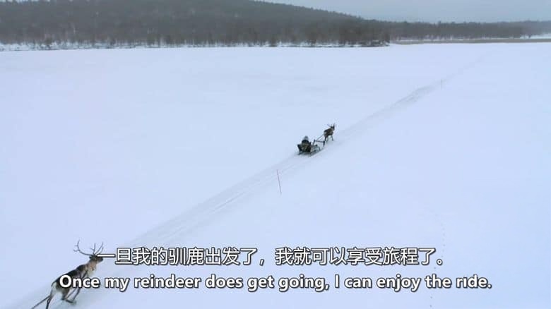 BBC纪录片《驯鹿家族与我 Reindeer Family And Me 2017》英语中英双字 无水印纯净版 1080P/MKV/1.93G 驯鹿家族插图4 BBC纪录片《驯鹿家族与我 Reindeer Family And Me 2017》英语中英双字 无水印纯净版 1080P/MKV/1.93G 驯鹿家族插图4