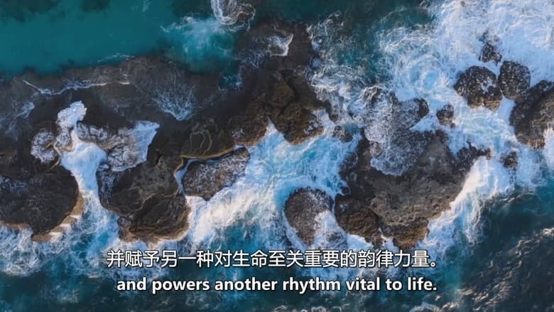 Sky纪录片《月球:大自然的神秘力量 Moon: Nature’s Secret Force 2025》全3集 英语中英双字 无水印纯净版 1080P/MKV/3.31G 月球对地球的影响插图3 Sky纪录片《月球:大自然的神秘力量 Moon: Nature’s Secret Force 2025》全3集 英语中英双字 无水印纯净版 1080P/MKV/3.31G 月球对地球的影响插图3