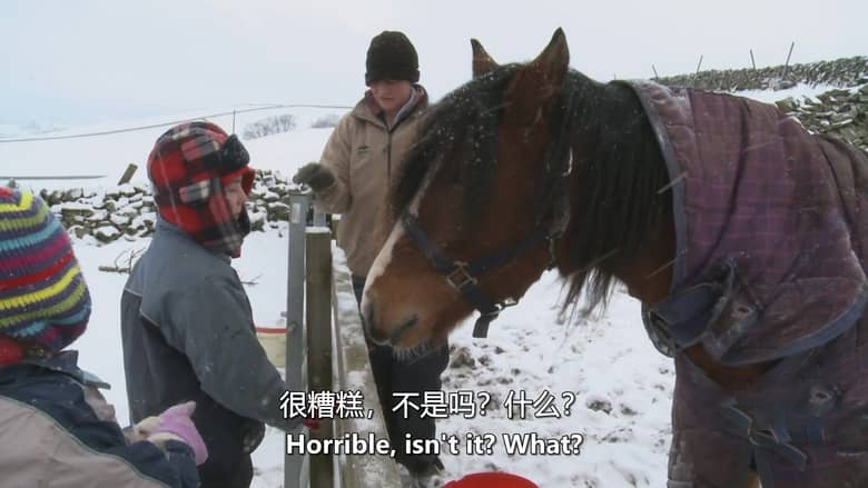 英国纪录片《牧羊成痴 Addicted to Sheep 2015》英语中英双字 无水印纯净版 1080P/MKV/1.43G 牧羊生活插图1 英国纪录片《牧羊成痴 Addicted to Sheep 2015》英语中英双字 无水印纯净版 1080P/MKV/1.43G 牧羊生活插图1