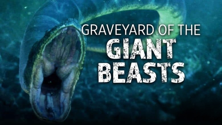 PBS纪录片《巨兽墓地 Graveyard of the Giant Beasts 2016》英语中英双字 无水印纯净版 1080P/MKV/4.53G 动物化石宝库插图1