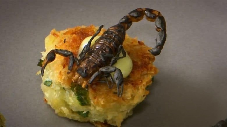 美国纪录片《没有农民就没有食物:你愿意吃虫吗? No Farmers No Food: Will You Eat the Bugs? 2023》英语中英双字 无水印纯净版 1080P/MKV/4.38G 无农则无食插图5 美国纪录片《没有农民就没有食物:你愿意吃虫吗? No Farmers No Food: Will You Eat the Bugs? 2023》英语中英双字 无水印纯净版 1080P/MKV/4.38G 无农则无食插图5