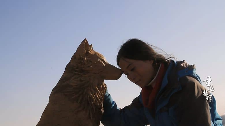 国产纪录片《重返狼群 – 10周年特别纪念版 Return to the Wolves 10-Year Anniversary Special 2021》全11集 国语中字 YOUKU水印版 4K超清/2160P/MP4/75G 狼王格林的感人故事插图8 国产纪录片《重返狼群 – 10周年特别纪念版 Return to the Wolves 10-Year Anniversary Special 2021》全11集 国语中字 YOUKU水印版 4K超清/2160P/MP4/75G 狼王格林的感人故事插图8