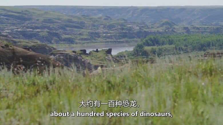 加拿大纪录片《恐龙小径 Dino Trails 2019》英语中英双字 无水印纯净版 1080P/MKV/2.71G 最新的恐龙发现插图3 加拿大纪录片《恐龙小径 Dino Trails 2019》英语中英双字 无水印纯净版 1080P/MKV/2.71G 最新的恐龙发现插图3