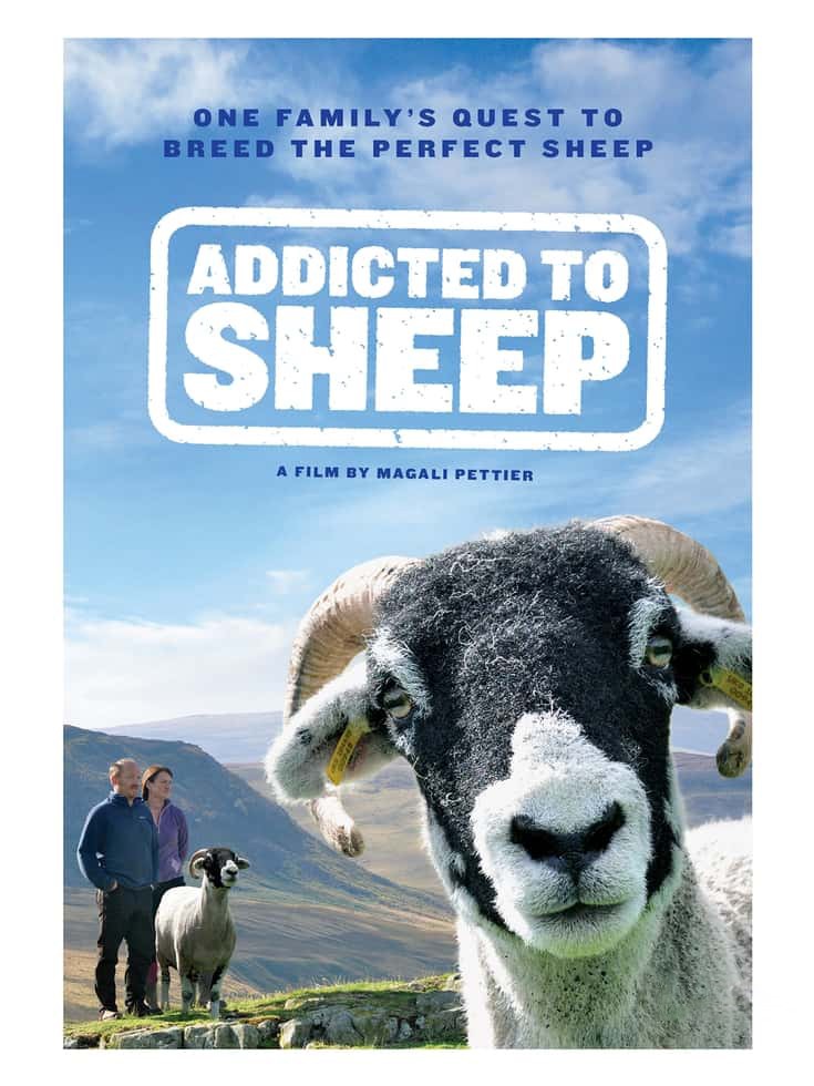 英国纪录片《牧羊成痴 Addicted to Sheep 2015》英语中英双字 无水印纯净版 1080P/MKV/1.43G 牧羊生活插图 英国纪录片《牧羊成痴 Addicted to Sheep 2015》英语中英双字 无水印纯净版 1080P/MKV/1.43G 牧羊生活插图
