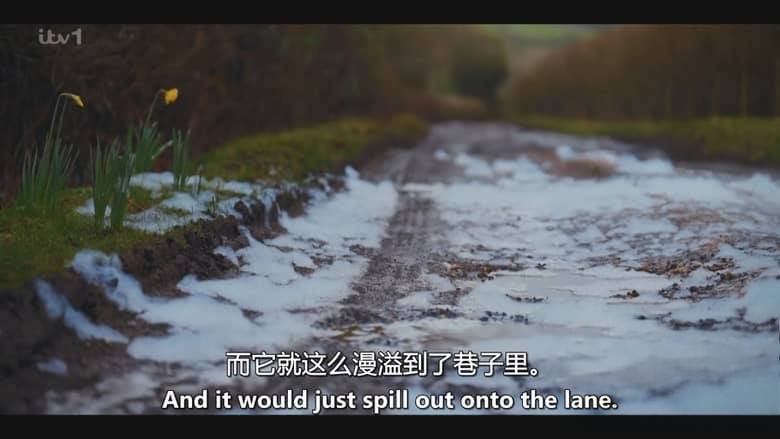 ITV纪录片《血液之中：永久化学品丑闻 In Our Blood: The Forever Chemicals Scandal 2026》英语中英双字 无水印纯净版 1080P/MKV/895M 公共健康危机插图4