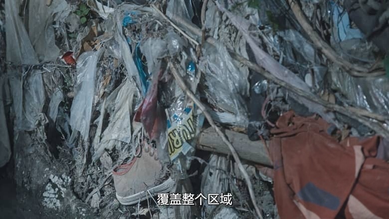 墨西哥纪录片《特别主控官:墨西哥女性命案守护者 The Prosecutor 2026》全3集 西语中英双字 无水印纯净版 1080P/MKV/7.72G 墨西哥女性检察官插图5 墨西哥纪录片《特别主控官:墨西哥女性命案守护者 The Prosecutor 2026》全3集 西语中英双字 无水印纯净版 1080P/MKV/7.72G 墨西哥女性检察官插图5