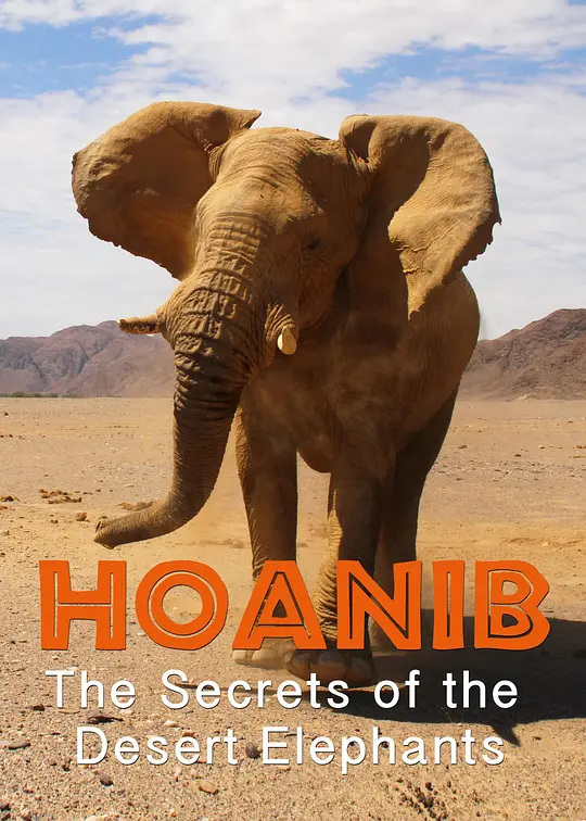 美国纪录片《霍尼布山谷 Hoanib 2013》英语中英双字 无水印纯净版 1080P/MKV/2.97G 纳米布沙漠插图