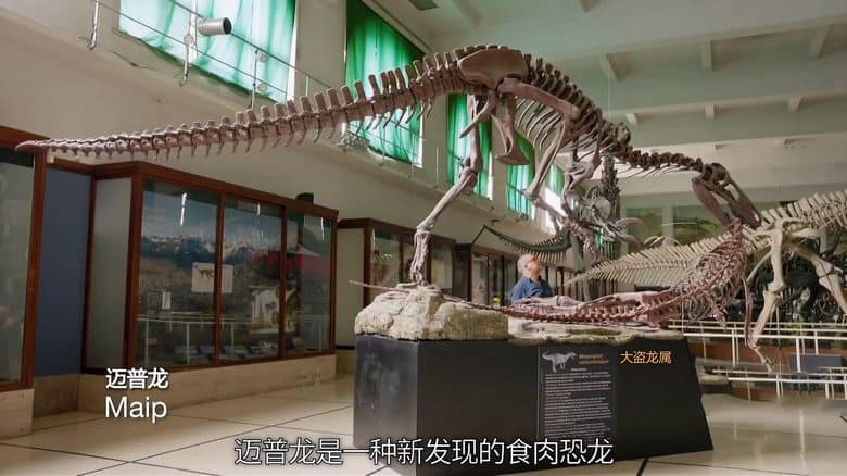 NHK纪录片《恐龙超世界2 Amazing Dinoworld 2 2023》全6集 英语中字 无水印纯净版 1080P/MP4/4.83G 恐龙纪录片插图5 NHK纪录片《恐龙超世界2 Amazing Dinoworld 2 2023》全6集 英语中字 无水印纯净版 1080P/MP4/4.83G 恐龙纪录片插图5