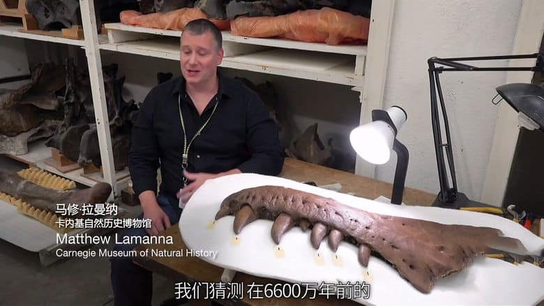 NHK纪录片《恐龙超世界2 Amazing Dinoworld 2 2023》全6集 英语中字 无水印纯净版 1080P/MP4/4.83G 恐龙纪录片插图1 NHK纪录片《恐龙超世界2 Amazing Dinoworld 2 2023》全6集 英语中字 无水印纯净版 1080P/MP4/4.83G 恐龙纪录片插图1