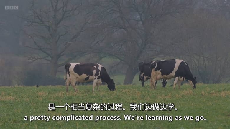 BBC纪录片《农耕生活 This Farming Life 2026》第8季全12集 英语中英字幕 官方纯净收藏版 1080P/MKV/27.3G 农场生活插图9