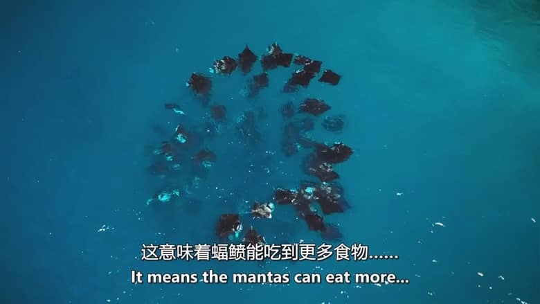 Sky纪录片《月球:大自然的神秘力量 Moon: Nature’s Secret Force 2025》全3集 英语中英双字 无水印纯净版 1080P/MKV/3.31G 月球对地球的影响插图4 Sky纪录片《月球:大自然的神秘力量 Moon: Nature’s Secret Force 2025》全3集 英语中英双字 无水印纯净版 1080P/MKV/3.31G 月球对地球的影响插图4