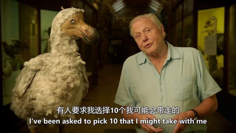 BBC纪录片《爱登堡的生命方舟 Attenborough’s Ark 2012》英语中英双字 无水印纯净版 1080P/MKV/2.19G 濒危生物插图3