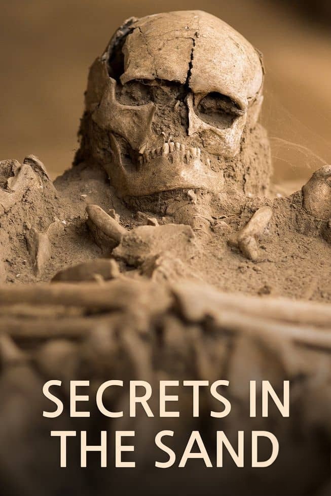 加拿大纪录片《沙中的秘密 Secrets in the Sand 2023》全6集 英语中英双字 无水印纯净版 1080P/MKV/16.2G 被埋葬的秘密插图 加拿大纪录片《沙中的秘密 Secrets in the Sand 2023》全6集 英语中英双字 无水印纯净版 1080P/MKV/16.2G 被埋葬的秘密插图