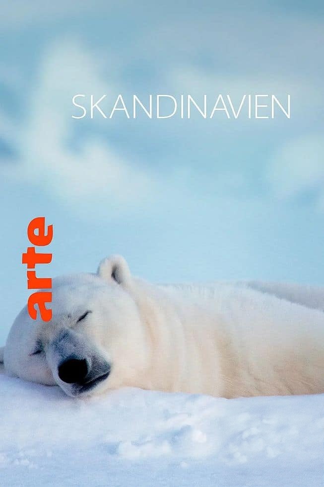 Arte纪录片《极夜半岛 Scandinavia – Between Light and Darkness 2024》全2集 国语中字 央视译制版 1080P/TS/7G 斯堪的纳维亚半岛的冬季插图