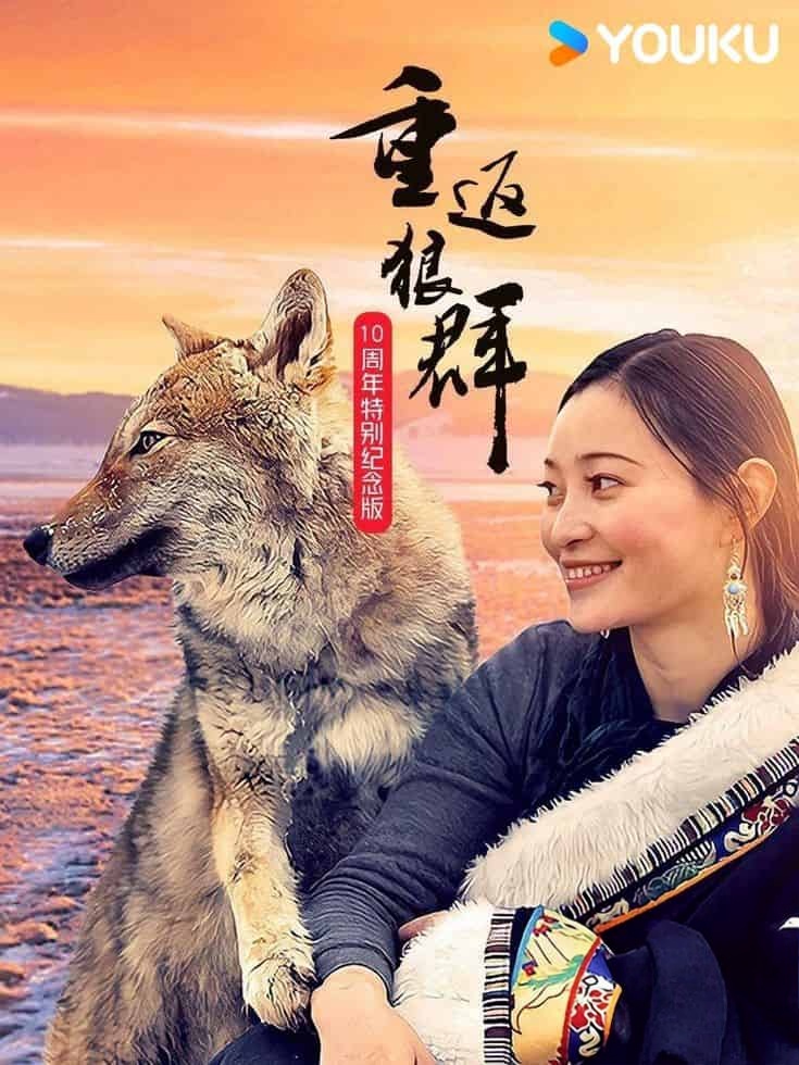 国产纪录片《重返狼群 – 10周年特别纪念版 Return to the Wolves 10-Year Anniversary Special 2021》全11集 国语中字 YOUKU水印版 4K超清/2160P/MP4/75G 狼王格林的感人故事插图 国产纪录片《重返狼群 – 10周年特别纪念版 Return to the Wolves 10-Year Anniversary Special 2021》全11集 国语中字 YOUKU水印版 4K超清/2160P/MP4/75G 狼王格林的感人故事插图