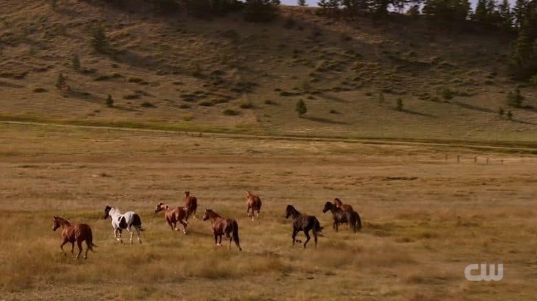 美国纪录片《牧马人日志 The Wranglers 2024》全3集 英语中英双字 无水印纯净版 1080P/MKV/7.04G 蒙大那牛仔插图5 美国纪录片《牧马人日志 The Wranglers 2024》全3集 英语中英双字 无水印纯净版 1080P/MKV/7.04G 蒙大那牛仔插图5