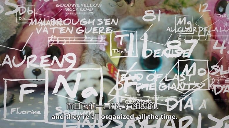 美国纪录片《别样音符 In a Different Key 2020》英语中英双字 无水印纯净版 1080P/MKV/6.32G 自闭症插图2