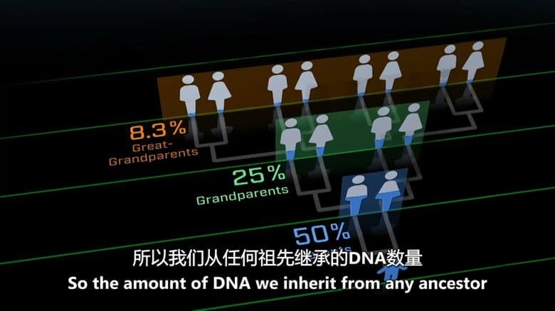 PBS纪录片《我们DNA中的秘密 Secrets in Our DNA 2021》英语中英双字 无水印纯净版 1080P/MKV/2.18G DNA中的秘密插图2 PBS纪录片《我们DNA中的秘密 Secrets in Our DNA 2021》英语中英双字 无水印纯净版 1080P/MKV/2.18G DNA中的秘密插图2