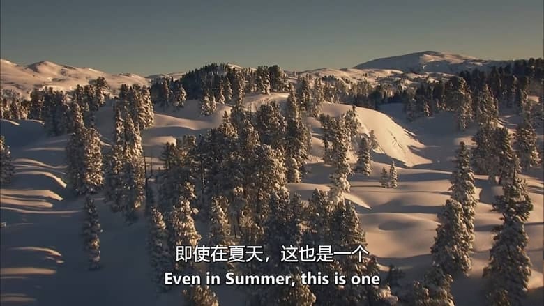 奥地利纪录片《魔力山脉：羚羊之地 Magic Mountains：Land of the Chamois 2012》英语中英双字 无水印纯净版 1080P/MKV/5.23G 奥地利生态插图3